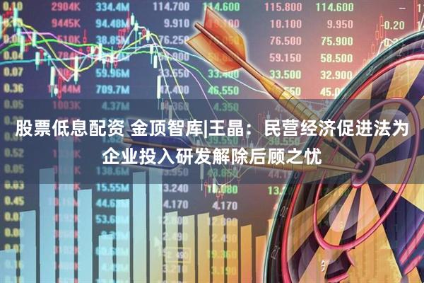 股票低息配资 金顶智库|王晶：民营经济促进法为企业投入研发解除后顾之忧